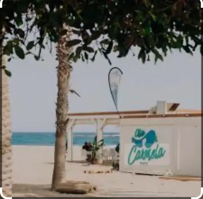 a tree in front of a building on the beach at BajoPlaya in Burriana