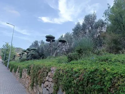 a stone wall next to a sidewalk and trees at Gilet senderismo bici parking 20 min Valencia in Gilet