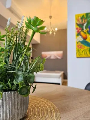 a potted plant sitting on top of a table at Inspiracion Valencia in Valencia