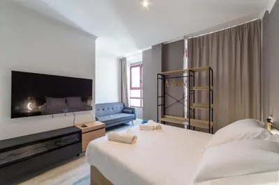 a bedroom with a large bed and a tv at Albufera Dreams Nature Suites in Valencia
