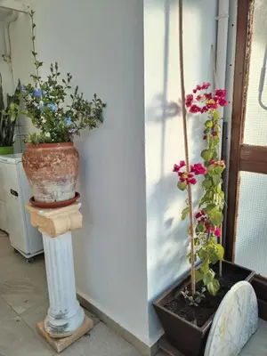 two potted plants sitting on a column next to a wall at Ático Playa Cullera in Cullera