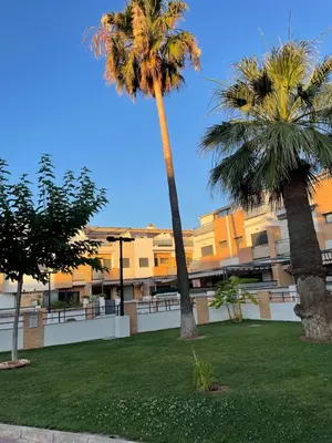 two palm trees in a park in front of a building at Valencia Sun House in Puebla de Farnals