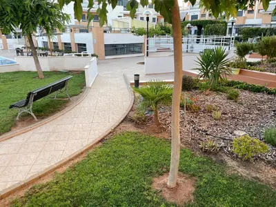 a park with a bench and a palm tree at Valencia Sun House in Puebla de Farnals