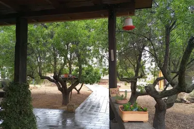 a porch with trees and potted plants on it at La Traviesa in Soneja