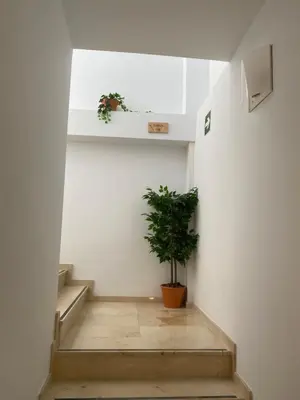 a staircase with a potted plant in a room at ALZIRA BONiTA LES BARRAQUES LOFT in Alzira