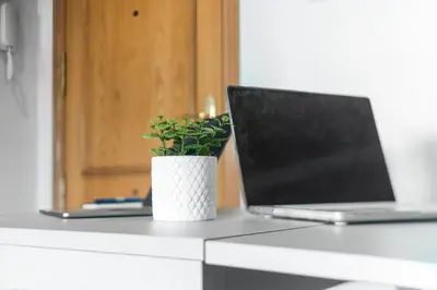 a plant sitting on top of a desk with a laptop at Moncofa Vistas Mar - Ideal Parejas in Moncófar