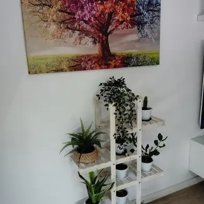 Apartamento Plaza Palmeras