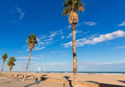 a group of palm trees on a beach at Casa de ensueño a 5 minutos de la playa in Valencia