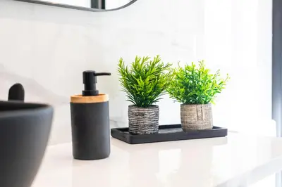 two plants in baskets on a shelf in a bathroom at UrbanNest Apartment in Valencia