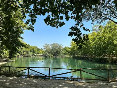 a view of a river with trees and a fence at El Siprer in Anna