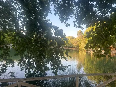 a view of a river with trees and a fence at El Siprer in Anna