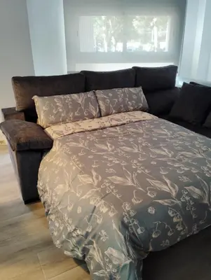 a bed in a living room with a couch at Apartamento Plaza Palmeras2 in Burjasot