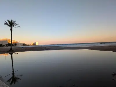 a palm tree on the beach with a reflection in a puddle at Apartamento Masia Racó Cullera in Cullera