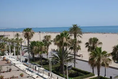a view of a beach with palm trees and the ocean at Sol Playa in Valencia