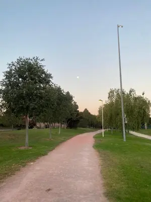 a dirt road in a park with trees at Turia Gardens Rooms - Authentic Valencia Downtown Parklife - VLC Urban Rental in Valencia