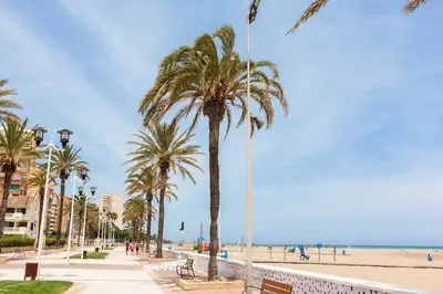 a row of palm trees on a sidewalk next to the beach at La Llar45 , Relájate junto al mar in Playa Pobla de Farnals