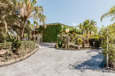 a house with palm trees and a driveway at Palm Garden Valencia in Bétera