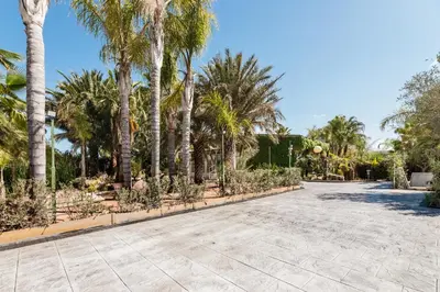 a walkway with palm trees in a park at Palm Garden Valencia in Bétera