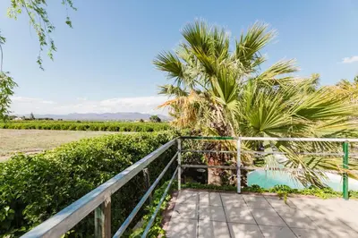 a walkway to the beach with palm trees at Palm Garden Valencia in Bétera