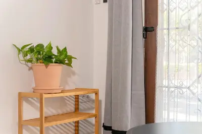 a plant on a wooden shelf next to a window at Cozy loft Jubeco in Valencia