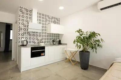 a kitchen with white cabinets and a potted plant at NEW BEACH Flats Valencia 2 in Valencia