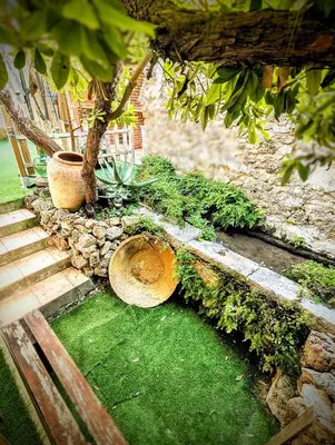 a garden with two potted plants and a tree at Casa Fina in Anna