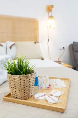 a tray with a potted plant on top of a bed at Travel Habitat Ruzafa Lofts in Valencia