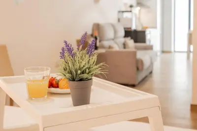 a coffee table with a glass of orange juice and a plant at VisitVal Flats 1 in Valencia