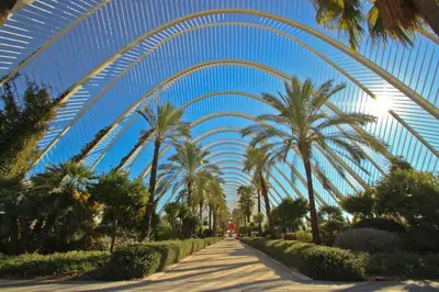 a walkway with palm trees and a blue sky at VisitVal Flats 2 in Valencia