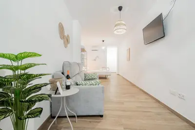 a living room with a couch and a plant at VisitVal Flats 3 in Valencia
