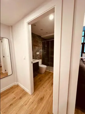a bathroom with a shower and a toilet in a room at LOFT Accommodative B in Valencia