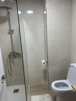 a bathroom with a shower and a toilet at Mediterranéo in Valencia