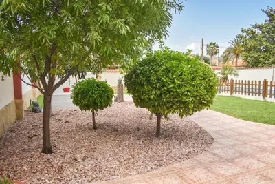 two trees in a yard next to a fence at Sunny House La Eliana in La Eliana
