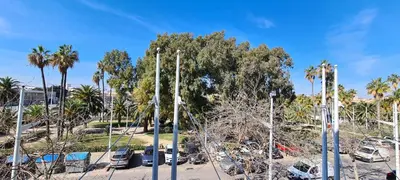 a parking lot with palm trees and parked cars at Hotel Boutique Balandret in Valencia