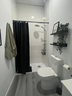 a white bathroom with a toilet and a shower at Maravilloso Loft - B in Valencia