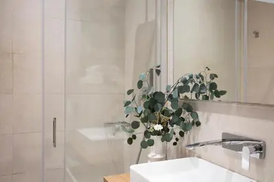 a bathroom with a sink and a shower with a plant at SingularStays Plaza Redonda II in Valencia