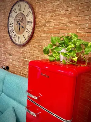 a red refrigerator with a potted plant on top of it at Céntrico, coqueto y vintage in Valencia