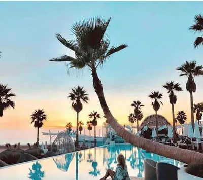 a woman sitting next to a swimming pool with a palm tree at Ruzafa experience Oceanografic ciencias in Valencia