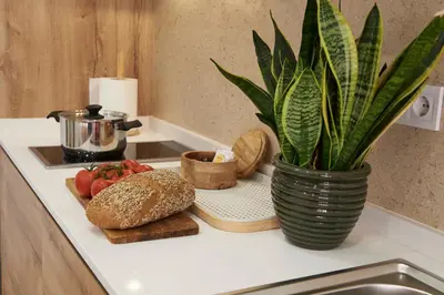 a kitchen counter with a vase with bread and vegetables at Loft 9 in Valencia