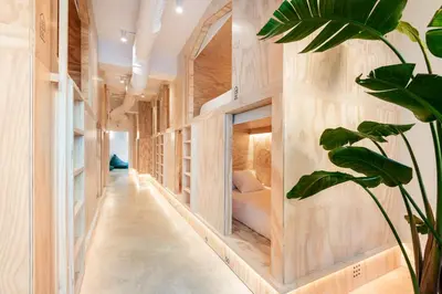 a hallway with wooden walls and a potted plant at Colo Colo Hostel Valencia - Single Private Beds in Valencia