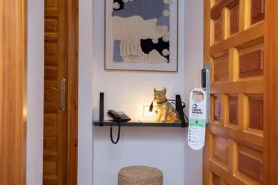 a cat statue sitting on a shelf next to a door at Casual Natura Valencia in Valencia