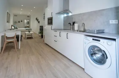 a kitchen with a washing machine and a sink at VLC HOST- Sant Jordi in Valencia