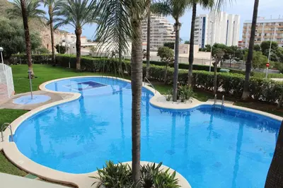 a large swimming pool with a palm tree in a resort at Apto en Cullera con terraza, piscina, parking y wifi gratis in Cullera