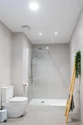a bathroom with a shower with a toilet and a glass shower at Main Lofts Valencia in Valencia