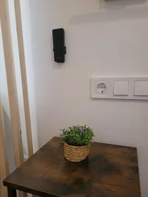 a plant sitting on top of a wooden table at Apartamento loft con encanto Suite Home Valencia in Valencia