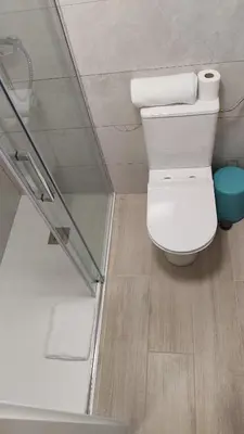 a bathroom with a white toilet and a shower at b1 Estudio independiente junto Aeropuerto in Manises