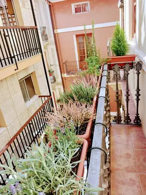 a balcony of a building with plants on it at Cozy flat in old town in Valencia