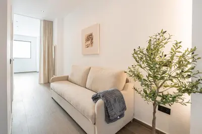 a white living room with a couch and a plant at Suite Deluxe Valencia - Ciudad de las Artes in Valencia