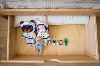 a shelf with stuffed animals in a bunk bed at Apartamento con terraza Junto a Ruzafa in Valencia