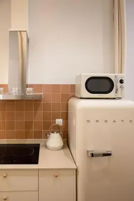 a microwave on top of a refrigerator in a kitchen at Apartamento con terraza Junto a Ruzafa in Valencia